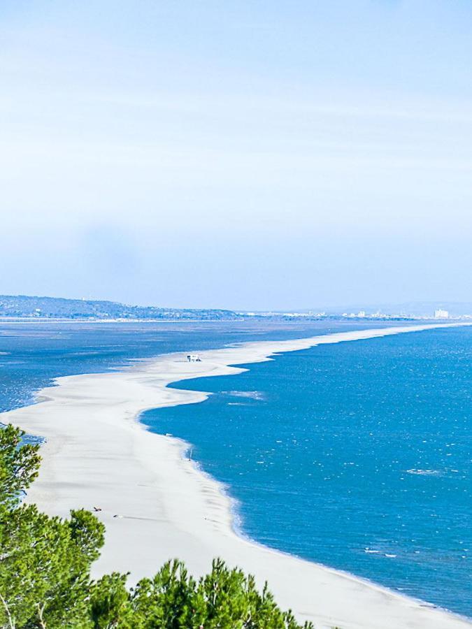 Les Arenes - Port Leucate - Une Chambre - Terrasse - Proche Commerces - Tout Confort المظهر الخارجي الصورة